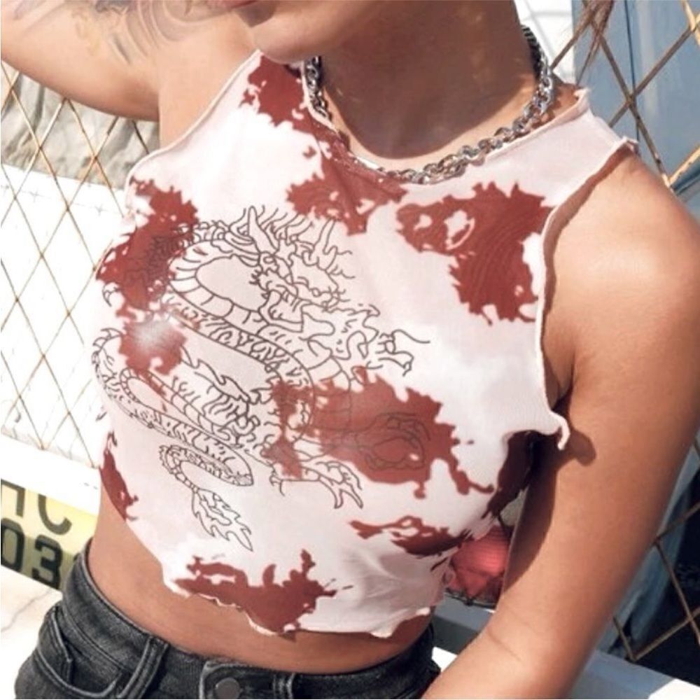 SHEIN Chinese Dragon Print Mesh Crop Top Size Small
